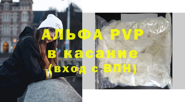 индика Абдулино
