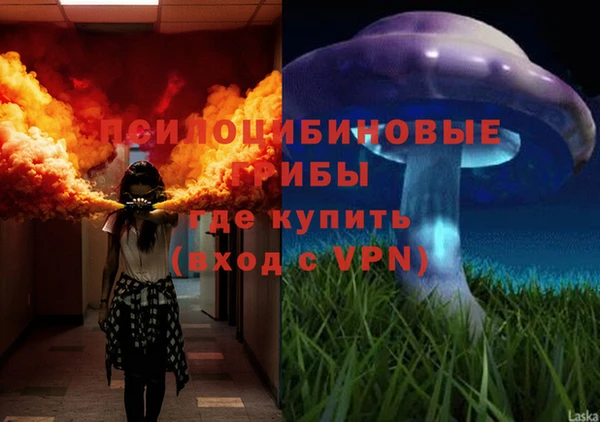 индика Абдулино