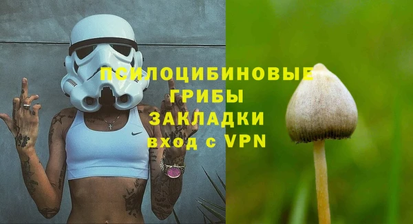 индика Абдулино