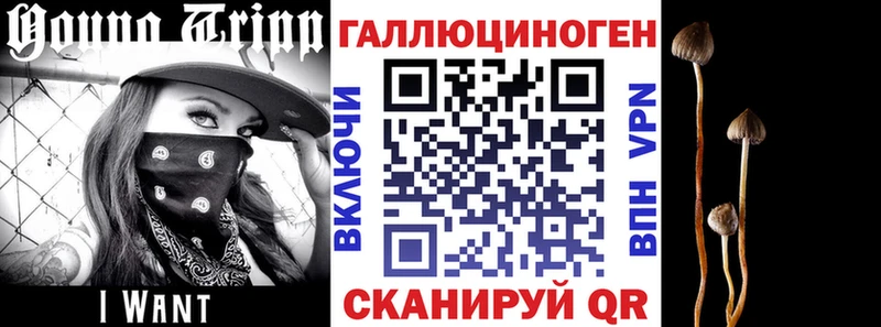 даркнет сайт Серпухов hydra зеркало Псилоцибиновые грибы Psilocybe